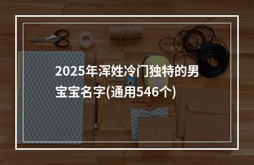 2025年浑姓冷门独特的男宝宝名字(通用546个)