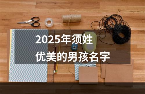 2025年须姓优美的男孩名字