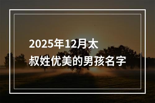 2025年12月太叔姓优美的男孩名字