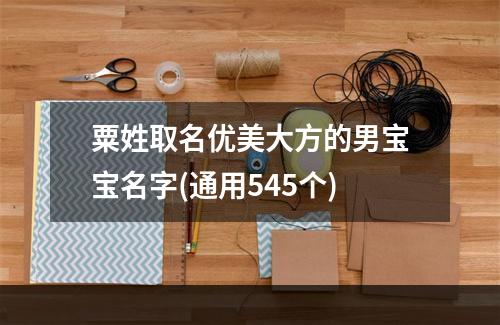 粟姓取名优美大方的男宝宝名字(通用545个)