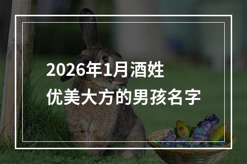 2026年1月酒姓优美大方的男孩名字