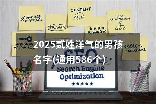 2025贰姓洋气的男孩名字(通用586个)