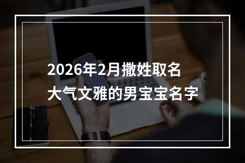 2026年2月撒姓取名大气文雅的男宝宝名字