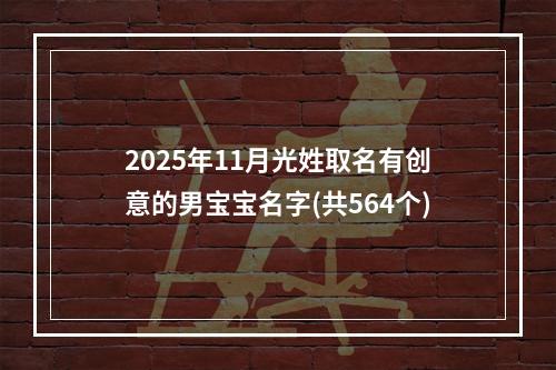 2025年11月光姓取名有创意的男宝宝名字(共564个)