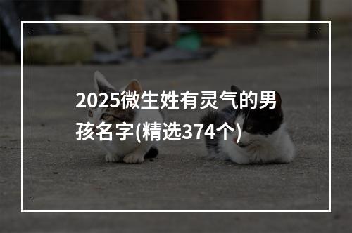 2025微生姓有灵气的男孩名字(精选374个)