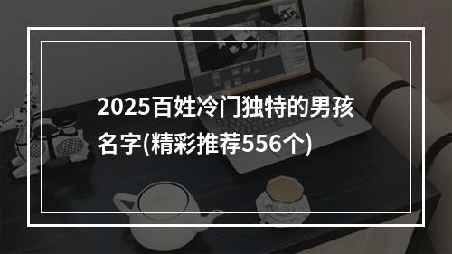 2025百姓冷门独特的男孩名字(精彩推荐556个)