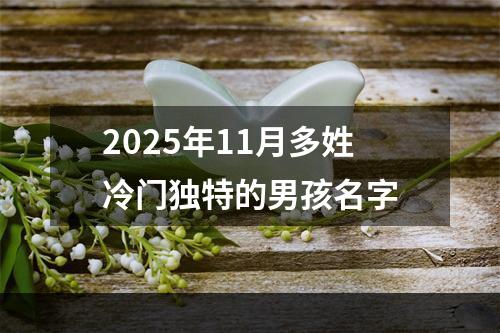 2025年11月多姓冷门独特的男孩名字
