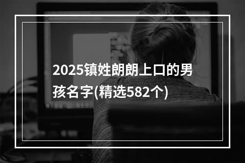 2025镇姓朗朗上口的男孩名字(精选582个)
