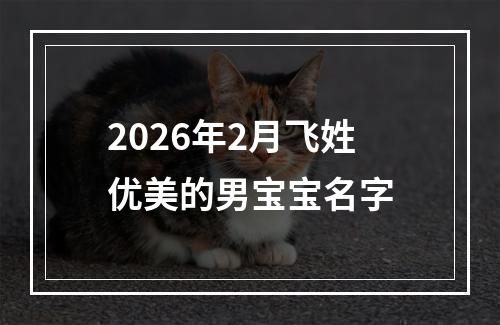 2026年2月飞姓优美的男宝宝名字