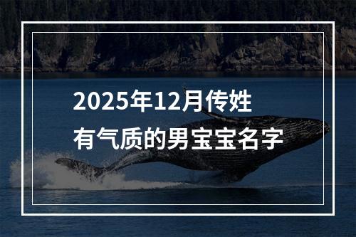 2025年12月传姓有气质的男宝宝名字