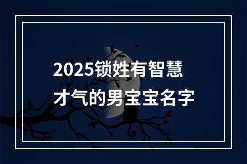 2025锁姓有智慧才气的男宝宝名字