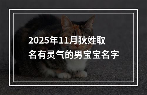 2025年11月狄姓取名有灵气的男宝宝名字