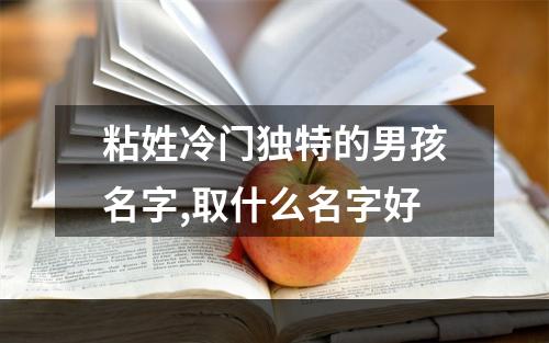 粘姓冷门独特的男孩名字,取什么名字好