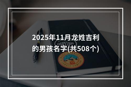 2025年11月龙姓吉利的男孩名字(共508个)