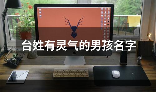台姓有灵气的男孩名字