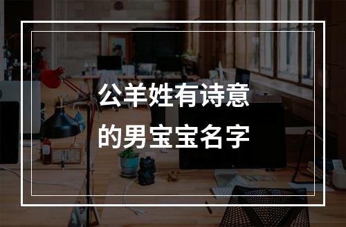 公羊姓有诗意的男宝宝名字