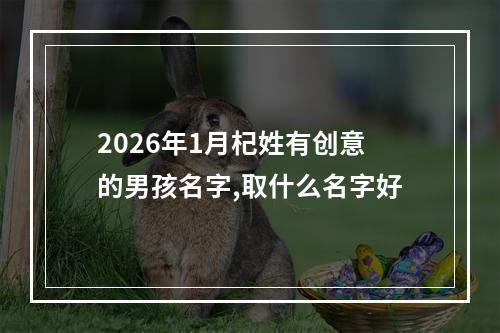 2026年1月杞姓有创意的男孩名字,取什么名字好