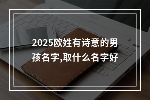 2025欧姓有诗意的男孩名字,取什么名字好