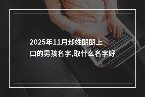 2025年11月却姓朗朗上口的男孩名字,取什么名字好