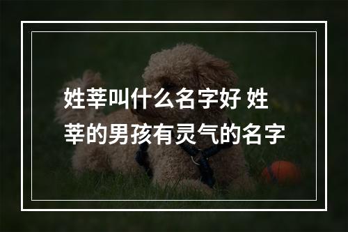 姓莘叫什么名字好 姓莘的男孩有灵气的名字