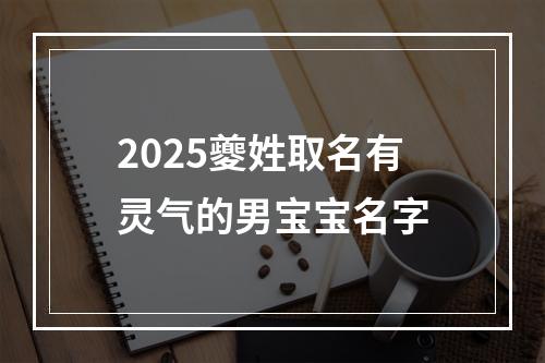 2025夔姓取名有灵气的男宝宝名字