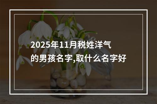 2025年11月税姓洋气的男孩名字,取什么名字好