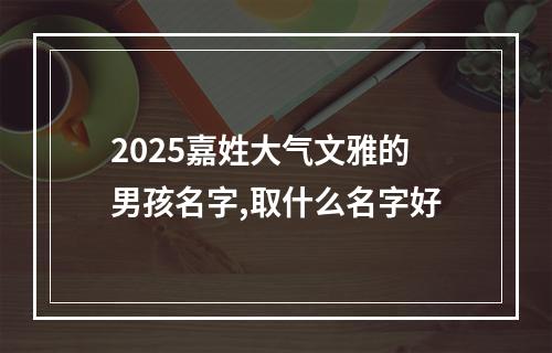 2025嘉姓大气文雅的男孩名字,取什么名字好