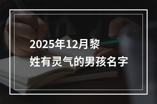 2025年12月黎姓有灵气的男孩名字