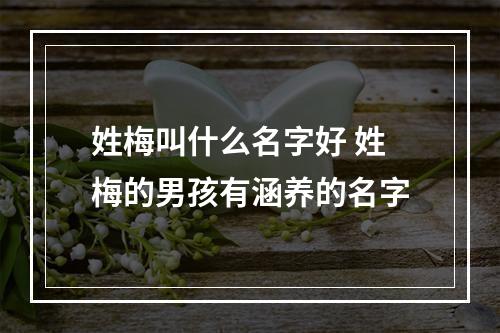 姓梅叫什么名字好 姓梅的男孩有涵养的名字