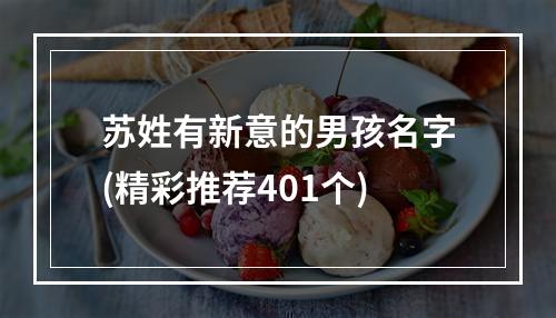 苏姓有新意的男孩名字(精彩推荐401个)