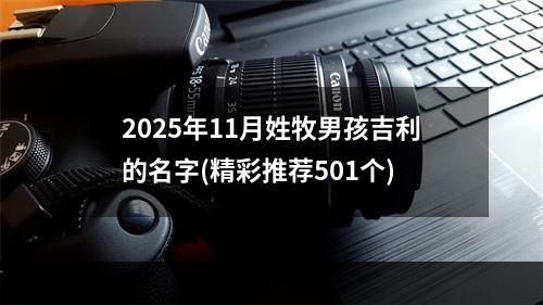 2025年11月姓牧男孩吉利的名字(精彩推荐501个)