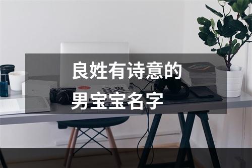 良姓有诗意的男宝宝名字