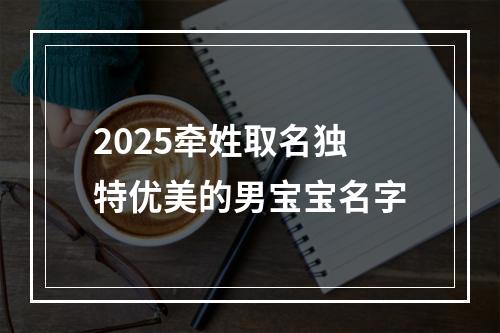 2025牵姓取名独特优美的男宝宝名字