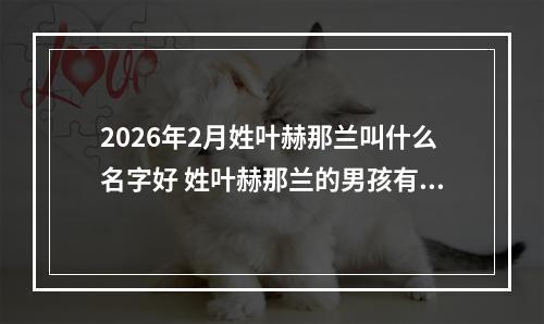 2026年2月姓叶赫那兰叫什么名字好 姓叶赫那兰的男孩有灵气的名字