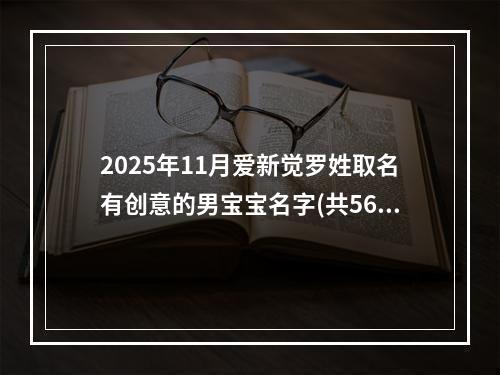 2025年11月爱新觉罗姓取名有创意的男宝宝名字(共568个)