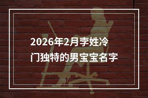 2026年2月孛姓冷门独特的男宝宝名字