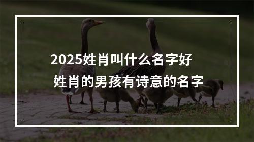 2025姓肖叫什么名字好 姓肖的男孩有诗意的名字