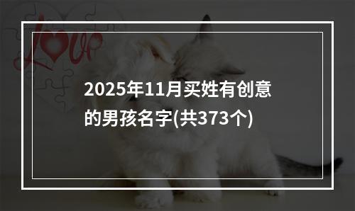 2025年11月买姓有创意的男孩名字(共373个)
