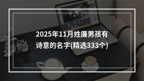 2025年11月姓廉男孩有诗意的名字(精选333个)