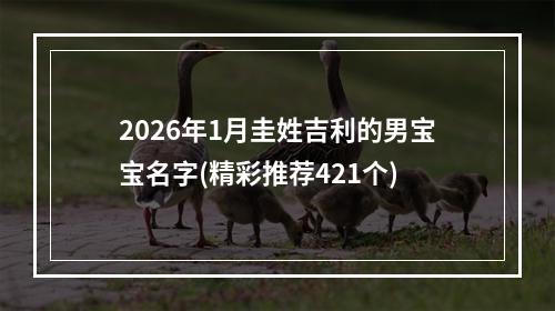 2026年1月圭姓吉利的男宝宝名字(精彩推荐421个)