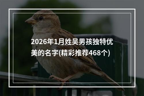 2026年1月姓吴男孩独特优美的名字(精彩推荐468个)