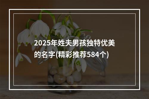 2025年姓夫男孩独特优美的名字(精彩推荐584个)