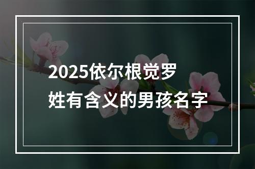 2025依尔根觉罗姓有含义的男孩名字