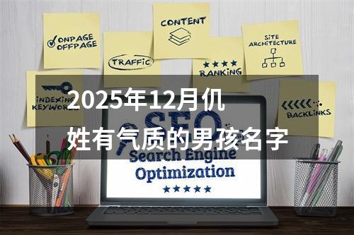 2025年12月仉姓有气质的男孩名字