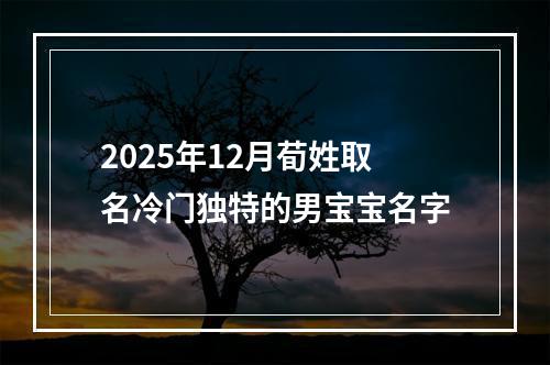 2025年12月荀姓取名冷门独特的男宝宝名字