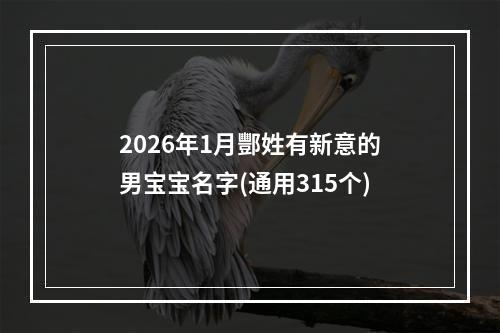 2026年1月酆姓有新意的男宝宝名字(通用315个)