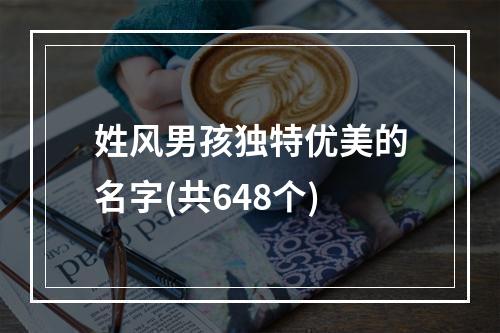 姓风男孩独特优美的名字(共648个)