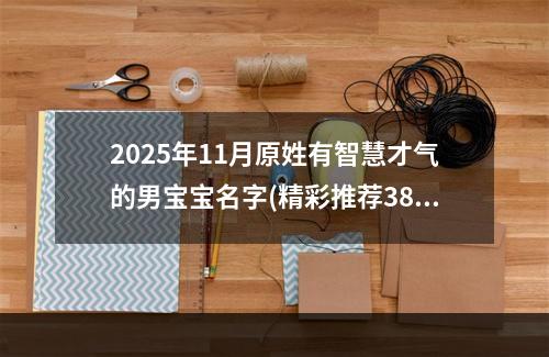 2025年11月原姓有智慧才气的男宝宝名字(精彩推荐385个)