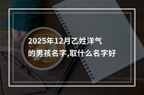 2025年12月乙姓洋气的男孩名字,取什么名字好