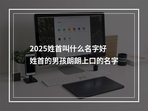 2025姓首叫什么名字好 姓首的男孩朗朗上口的名字